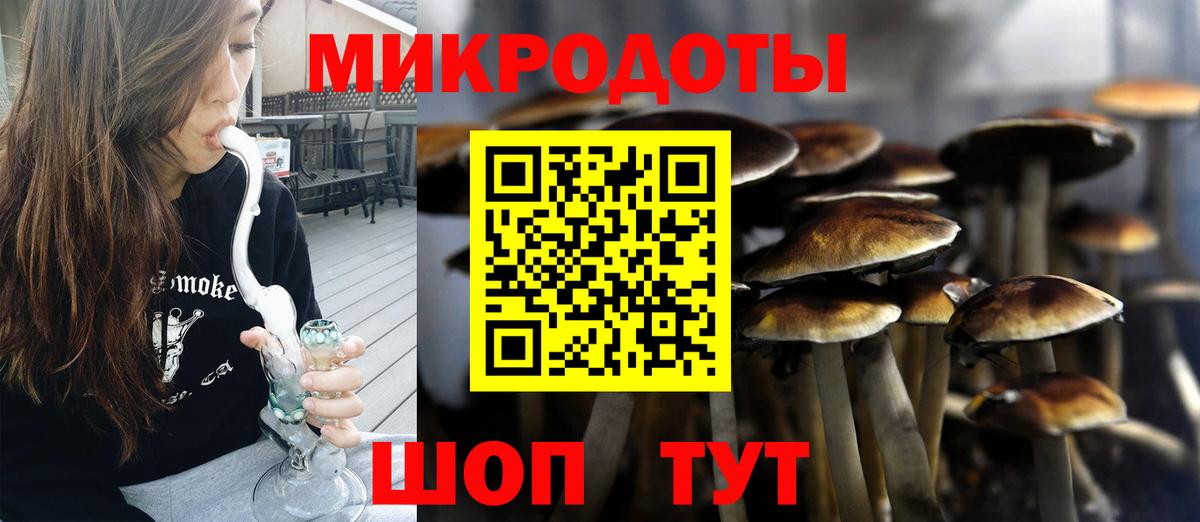Псилоцибиновые грибы Magic Shrooms  Вход с VPN  Галлюциногенные грибы Psilocybe  Звенигород 
